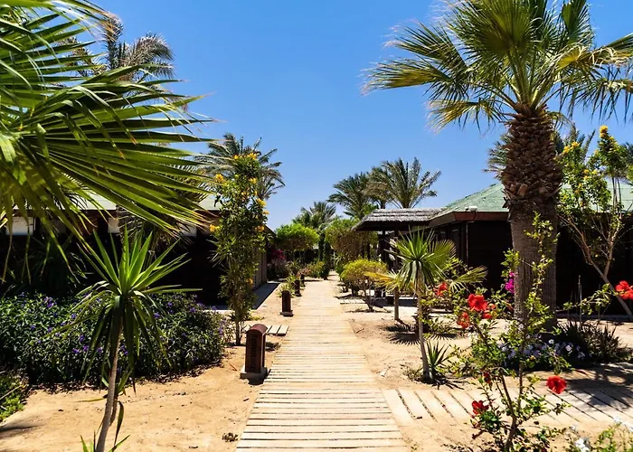 Lodge Abu Dabbab Lodge *