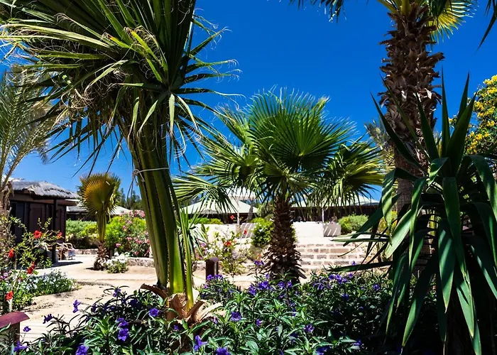 Lodge Abu Dabbab Lodge *