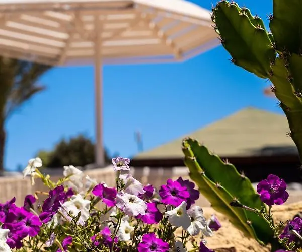 Abu Dabbab Lodge Lodge Abu Dabbab